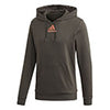 Adidas Category Graphic Hoodie (M)