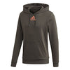 Adidas Category Graphic Hoodie (M)