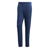 Adidas Category Graphic Pant (M)