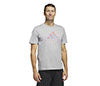 Adidas Americana Graphic Tee (M) (Grey)