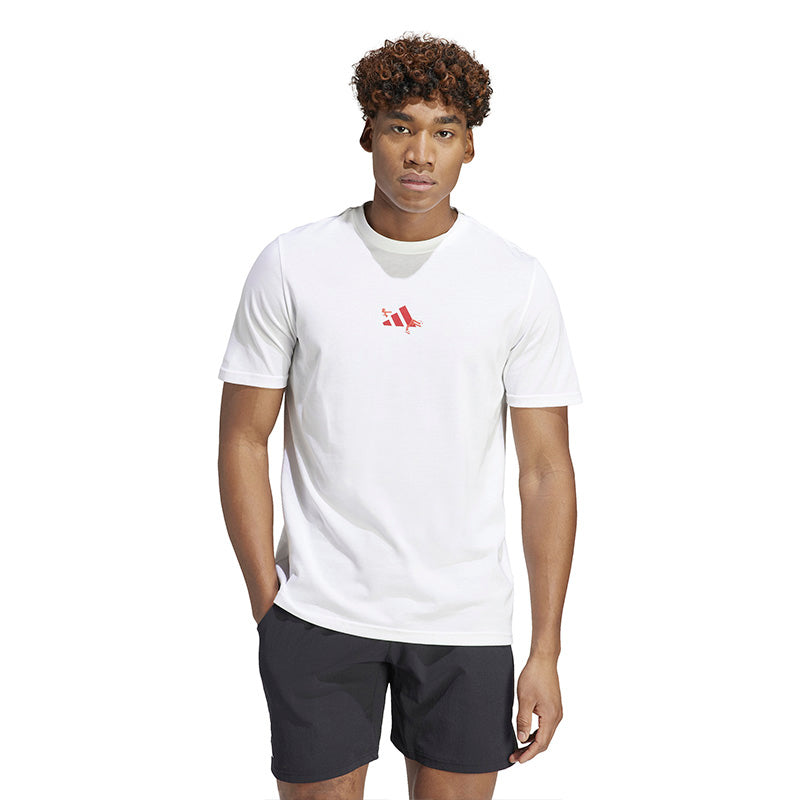 Adidas Roland Garros Graphic Tee (M) (White)