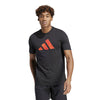 Adidas Roland Garros Logo Graphic Tee (M) (Black)