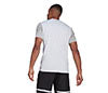 Adidas Club Tee (M) (White)