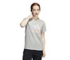 Adidas Americana Graphic Tee (W) (Grey)