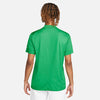 Nike Dri-Fit Victory Solid Polo (M) (Green)