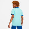 The Nike Polo Rafa Slim (M) (Blue) Nike