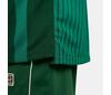 The Nike Heritage Polo Dri-Fit (M) (Malachite)