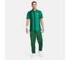 The Nike Heritage Polo Dri-Fit (M) (Malachite)