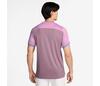 Nike Court Advantage Top (M) (Plum Dust)