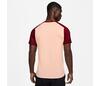 Nike Court Dri-Fit Advantage Printed Top (M) (Red)