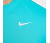 Nike Dri-Fit Legend Short Sleeve Tee (M) (Dusty Cactus)