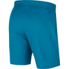 Nike Court Dry Short (M)
