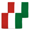 Tourna Flag Band Wristbands (2X) Tourna