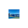Tenn-Air Pro Windscreen (6'X60') | Green