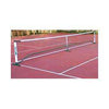 Oncourt/Offcourt Oval Poles Picklenet System