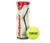 Bullpadel Premium Pro Balls (24X)