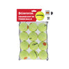 Gamma 60 Orange Dot Tennis Balls (Bag 12X)