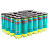 Penn Coach Teaching Tennis Balls (Case 24X) Penn