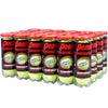 Penn Regular Duty Tennis Balls (Case 24X)