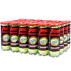 Penn Regular Duty Tennis Balls (Case 24X)