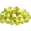 Tourna Stage 2 Orange Dot Tennis Balls (60X)