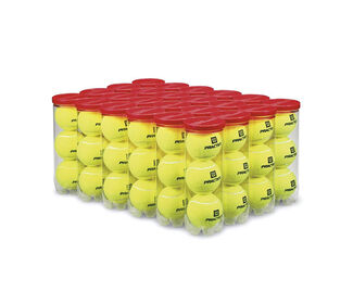 Wilson Practice Tennis Balls (Case 24X)