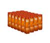 Wilson Us Open Tournament Orange Tennis Balls (Case 24X)