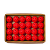 Wilson Tru 32 Pro Outdoor Pickleballs (48X) (Red)