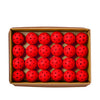 Wilson Tru 32 Pro Outdoor Pickleballs (48X) (Red)