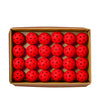 Wilson Tru 32 Pro Outdoor Pickleballs (48X) (Red)