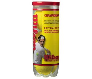 Wilson Extra Duty Tennis Balls (Cans 1X)