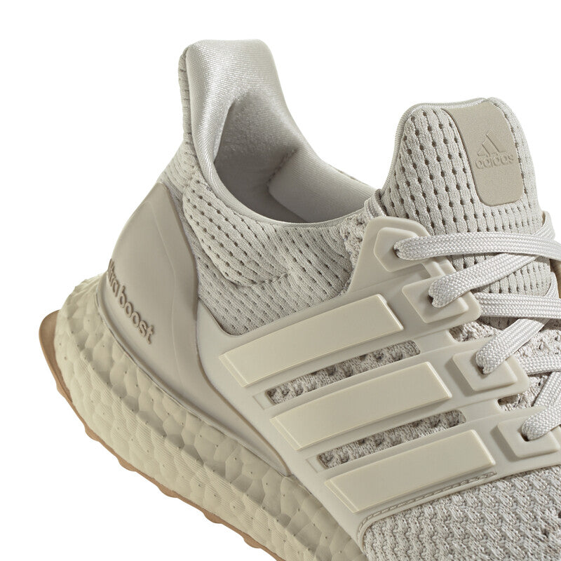 Adidas Ultraboost 1.0 (M) (Aluminum)