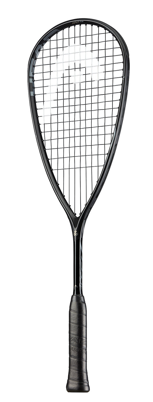Head Graphene 360 Speed 120 Sb Sq. (Strung)