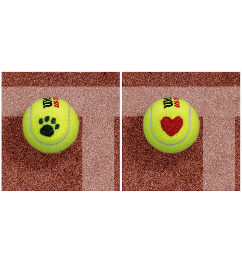 Balltrace - Tennis Ball Marker
