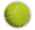 Tennis Ball Car Magnet