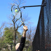 Topspin Solution (1X)