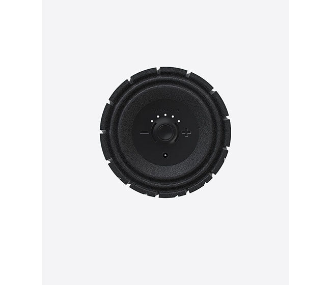 Theragun Wave Roller