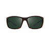 Revo Dexter (Matte Tortoise/Smoky Green)