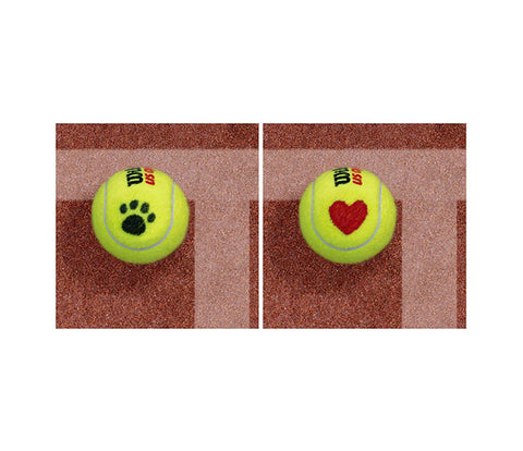 BallTrace - Tennis Ball Marker